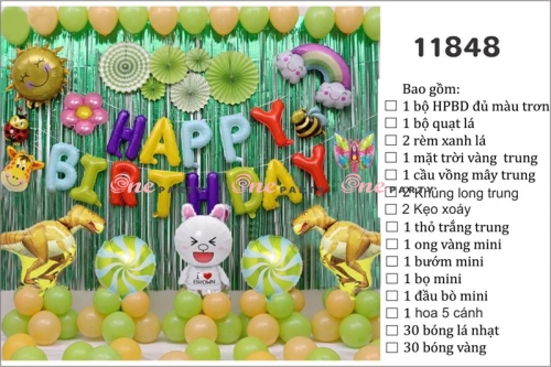 T11848 Set bóng khủng long - bộ