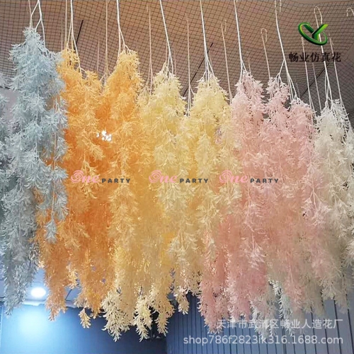 Cỏ hoa hồng màu Cam Đậm - bụi