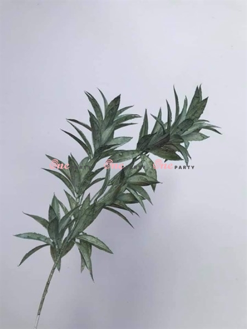 Lá Cành Dứa