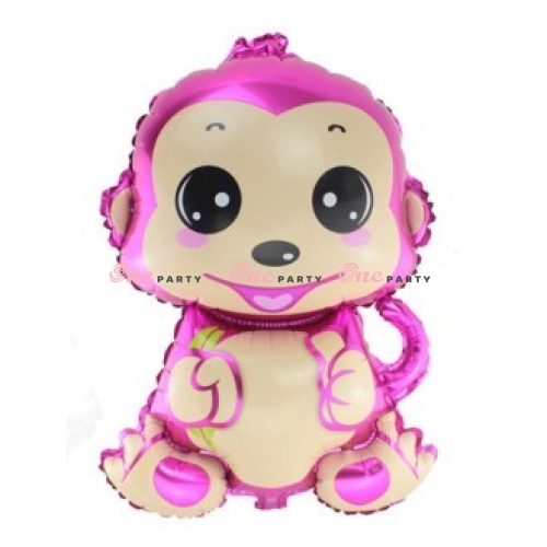 Khỉ Hồng mini - cái