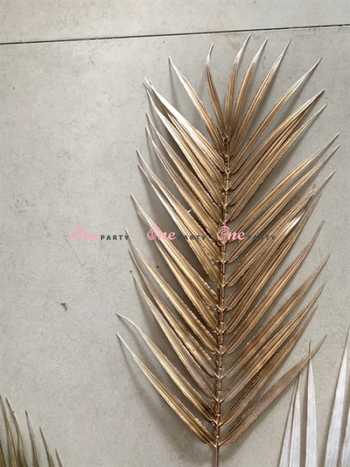 Lá Dừa Xi Vàng - bụi
