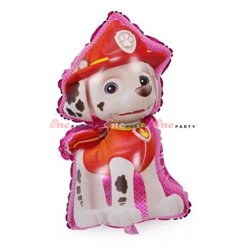 Chó đốm trung Hồng - cái