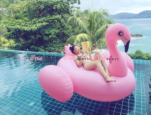 Phao Hồng Hạc Đại ( 205cm x 100cm x 100cm)