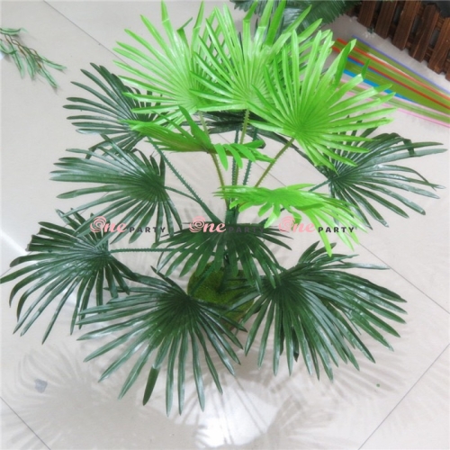 Lá Cọ